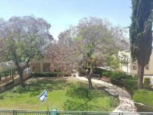 בית אבות משלב – בית אבות בעפולה - תמונה 5