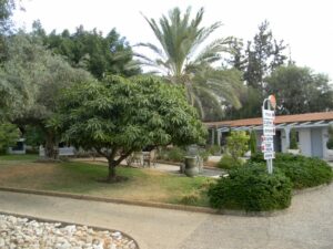 אחוזת אייל – בית אבות באור יהודה - תמונה 2