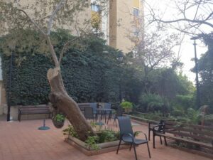 בית יולס – דיור מוגן בחיפה - תמונה 6