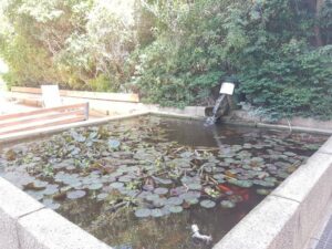 בית יולס – דיור מוגן בחיפה - תמונה 7