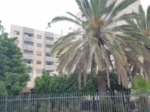בית בלב רמת השרון – דיור מוגן ברמת השרון - תמונה 1