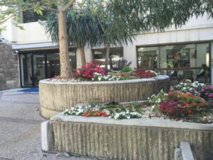 בית הורים ויצו – בית אבות בתל אביב - תמונה 2
