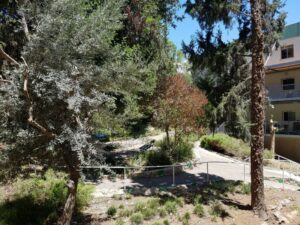 מעון הרופא – בית אבות בחיפה - תמונה 8