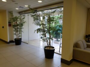 רמת אור – בית אבות ברמת גן מרשת בית אור - תמונה 3