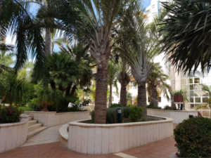 אחוזת נווה חוף – דיור מוגן בראשון לציון - תמונה 9