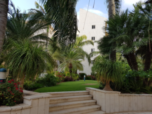 אחוזת נווה חוף – דיור מוגן בראשון לציון - תמונה 11