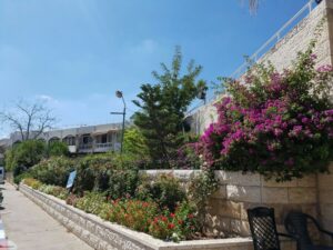רמת תמיר נווה הדר – דיור מוגן בירושלים - תמונה 4