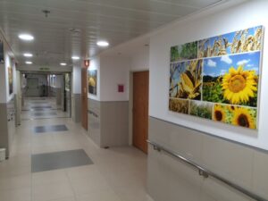 בית הורים רחל ליצ'ק – בית אבות באחווה - תמונה 2