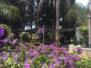 הבית בפרדס – בית אבות בהוד השרון - תמונה 12