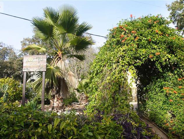 נוף החורש – בית אבות בקרית טבעון