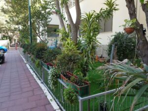 עירוני רמת גן – בית אבות ברמת גן - תמונה 3
