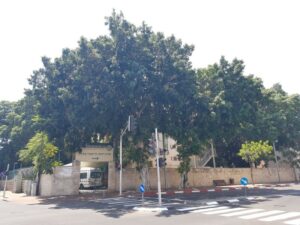 מרכז רפואי גריאטרי צהלון – בית אבות בתל אביב - תמונה 1