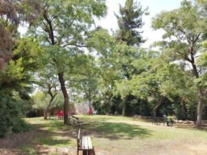 רמת תמיר נווה הדר – דיור מוגן בירושלים - תמונה 10