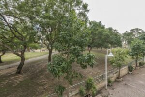 יקירי תל אביב – המחלקה הסיעודית - תמונה 3