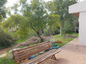 עמל ברור חיל – בית אבות סיעודי בקיבוץ ברור חיל - תמונה 3