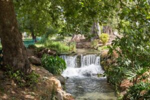 עמל בית האלה – בית אבות סיעודי בקיבוץ דפנה - תמונה 4