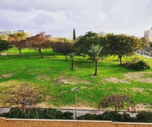 בית גיל הזהב תל אביב – מחלקה תומכת בתל אביב - תמונה 2