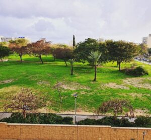 בית גיל הזהב תל אביב – מחלקה סיעודית בתל אביב - תמונה 2