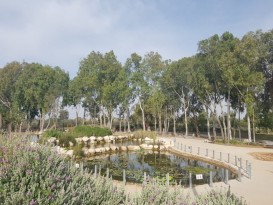 מגדלי הים התיכון – דיור תומך ברמת השרון - תמונה 3